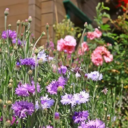 Oda ve Kahvaltı Hubert Fiegl Sölden